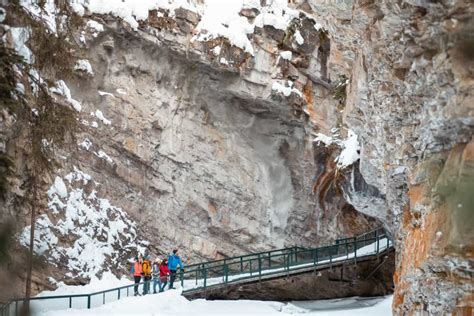 Hike Johnston Canyon Icewalk Discover Banff Tours