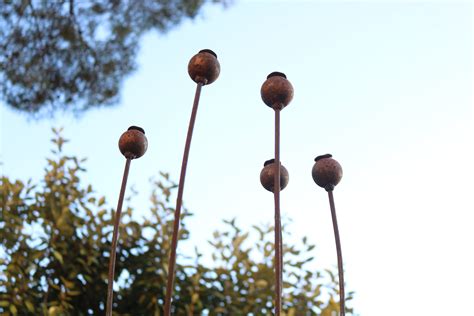 Poppy seed emporiumpoppy seed emporiumpoppy seed emporium. Large Metal Poppy Seed Heads - Lavender and Leeks