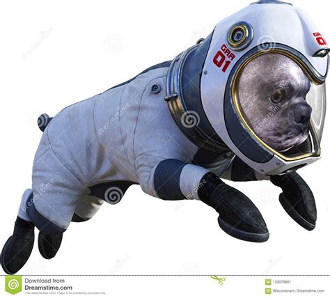 Animals In Space Suits