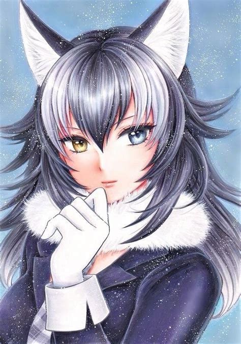 Kemono Friends Wolf Anime Wolf Girl Anime Girl Neko Anime Cat Anime