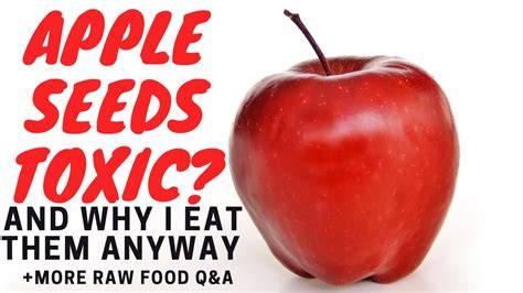 Are Apple Seeds Toxic Why I Eat Them Anyway More Raw Food Qanda Youtube