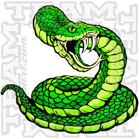 Coiled Snake Image Modifiable Vector Format