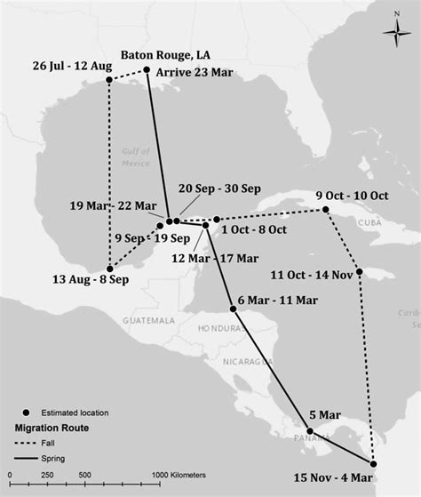 Estimated Migratory Routes Of A Prothonotary Warbler Fitted With A