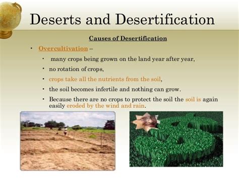 👍 The Causes Of Desertification Causes And Effects Of Desertification
