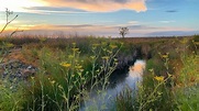 BIKE TRAIL IN PALO ALTO, CALIFORNIA - Scenic trail along Baylands ...