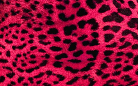Cheetah Print Cheetah Cats Animal Prints Hd Wallpaper Peakpx