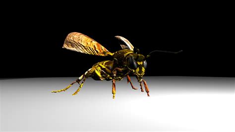 3d Wasp Model On Behance