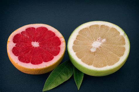 Red And White Grapefruits Stock Photo Image Of Green 60859842