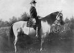 Traveller (horse) - Wikipedia
