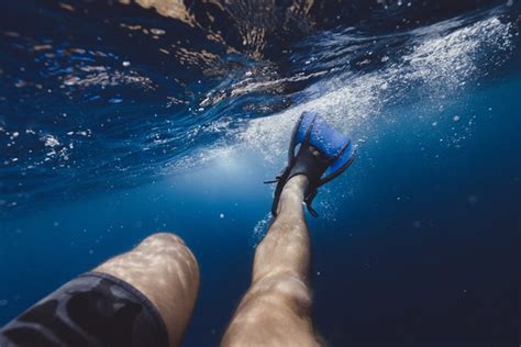 Underwater Photography Tips For Beginners Tech Jek
