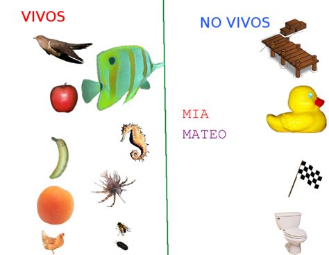 Seres Vivos Y No Vivos Seres Vivos Vivos Y No Vivos Educacion Infantil