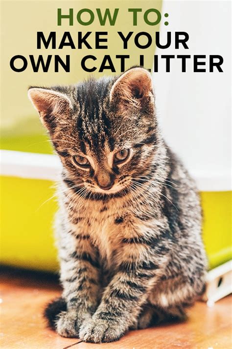 That's why your cat's litter box needs the same attentive consideration you give your home's other bathrooms. How to Make Homemade Cat Litter #CatLitter #catsclaw | Cat ...
