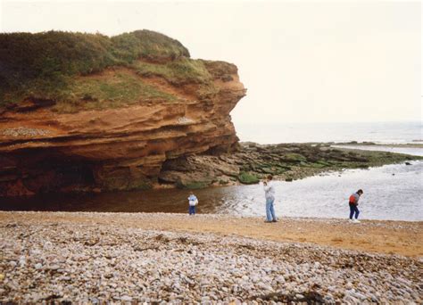 Budleigh Salterton Uk Fossil Collecting