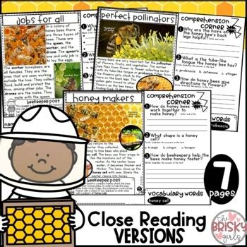 Honey Bees Reading Passages Take Home Packet First Grade By The