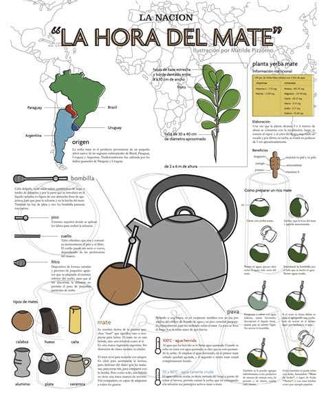 Infografia Mate Imprimir Escuela Pinterest Infografia La Yerba