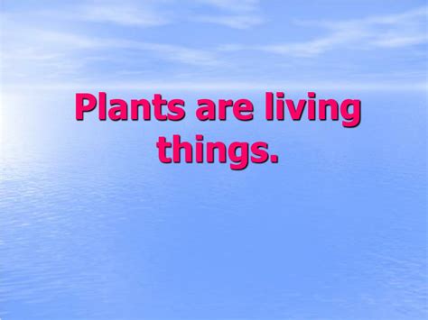 Ppt All About Plants Powerpoint Presentation Free Download Id1706162