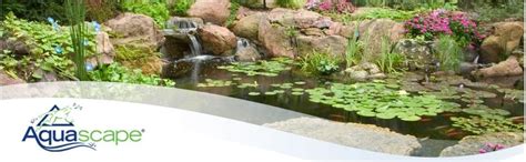 Aquascape 53033 8 x 11 feet complete pond kit, black $1,547.99. Amazon.com : AquaScape 99765 DIY Ecosystem Backyard Pond ...