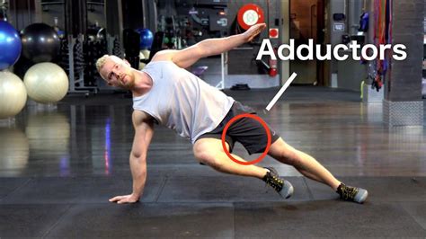 Adductor Muscles Exercises