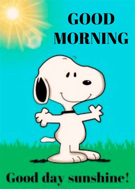 Pin By C R On My Snoopy Pins Good Morning Snoopy Snoopy Funny