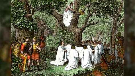 The Mysterious History Of Druids Ancient Mediators Between Humans And