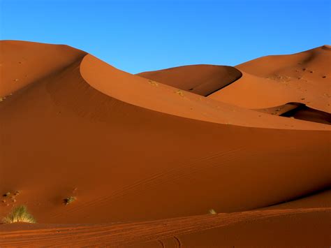 Desierto Del Sahara Terrenos Deserticos