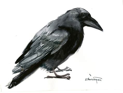 Raven Artwork Original Watercolor Art Raven Painting Ravens Black