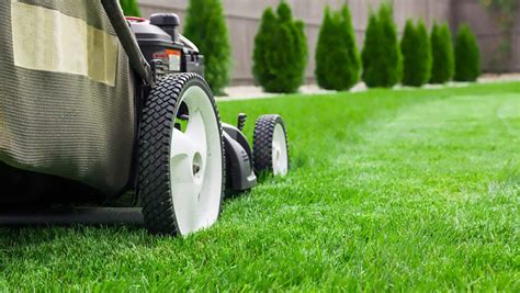 Benefits Of Hiring Professional Lawn Care Services Residence Style