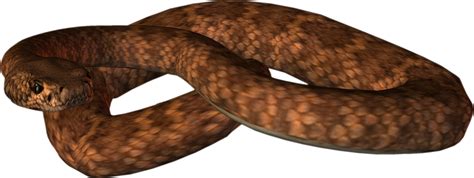 Animated Snake Png Image Purepng Free Transparent Cc0 Png Image Library