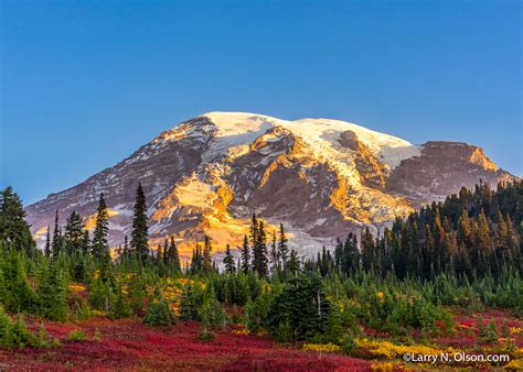Mount Rainier National Park Wa Larry N Olson Photography