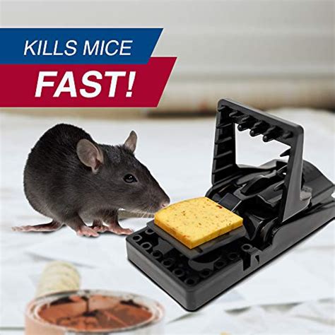 Pic Simple Set Mouse Trap 8 Pack Reusable Plastic Mouse Traps