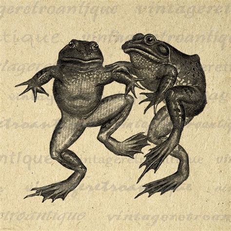 Frogs Digital Image Graphic Printable Frog Artwork Antique Etsy
