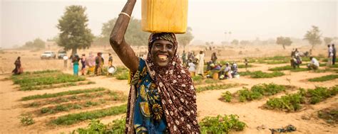 Niger Feed The Future