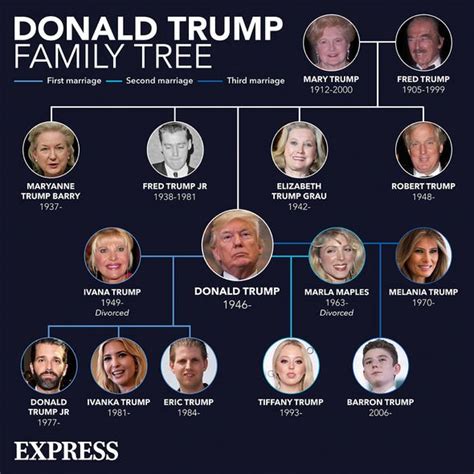 The trump family already owns three. Donald Trump news: POTUS enraged over Melania's Mar-a-Lago ...