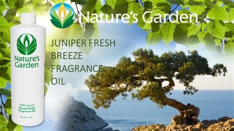 This Fresh Fragrance Oil By Natures