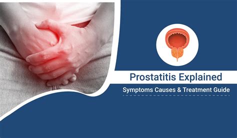 Prostatitis Explained Symptoms Causes Treatment Guide