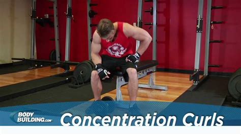 Concentration Curls Biceps Exercise Stronger Af