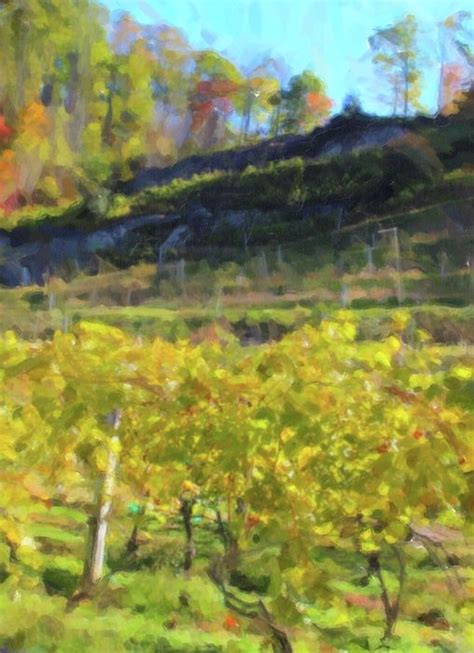 Artistic Autumn Grape Vines And Leaves 2 By Cathy Lindsey Grape Vines