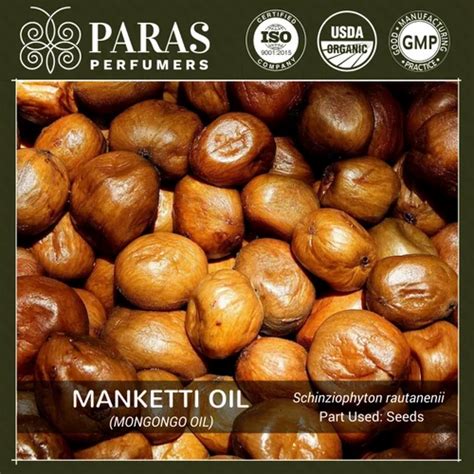 Manketti Mongongo Oil At Rs 5000 Kilogram Natural Essential Oil