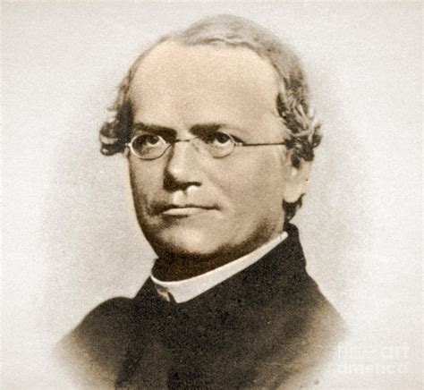 Gregor Mendel Father Of Genetics By Science Source