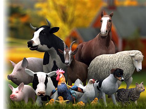 Domestic Animals Pack 3d Animals Unity Asset Store