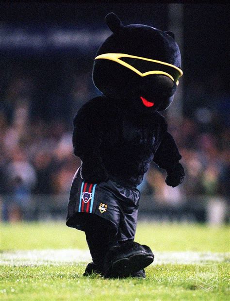 Penrith Panthers Mascot Penrith Panthers Mascot Panthers