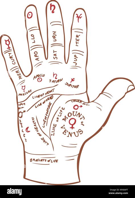 Vintage Palm Reading Palmistry Hand Map Statuette Ubicaciondepersonas