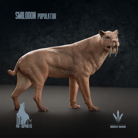 下载 Smilodon Populator The Saber Toothed Cat 通过 Miniature Museum