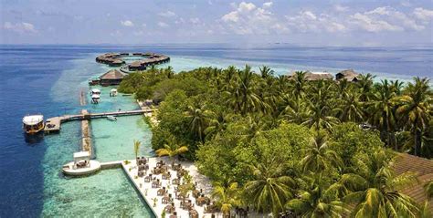 Lily Beach Resort And Spa Maldivas Arenatours Es
