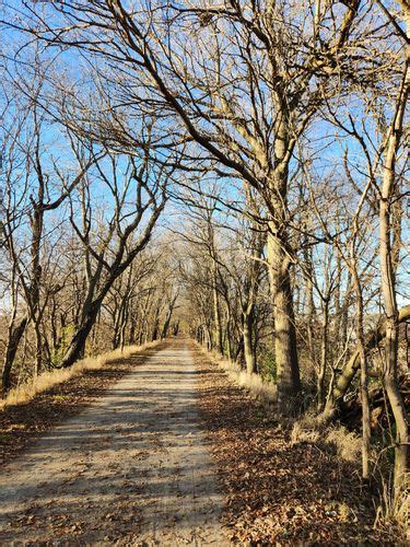 Best Hikes And Trails In Rock Island Trail State Park Alltrails