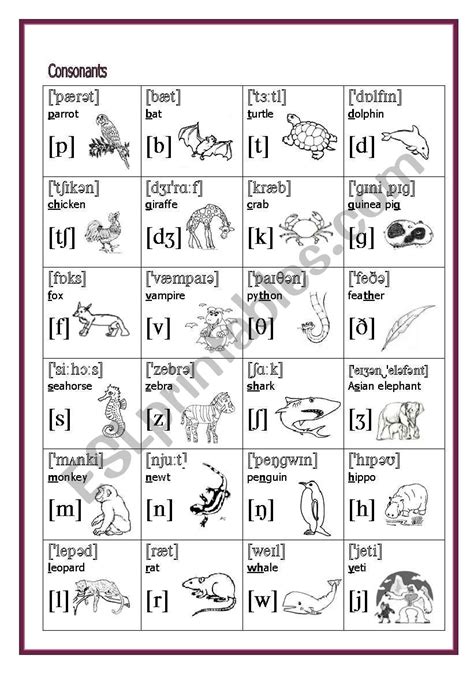 Best Images Of Phonetic Pronunciation Worksheets E Vrogue Co