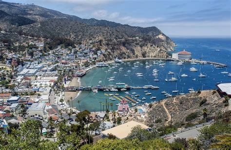 Controversy Brewing On Catalina Island Orange County Register