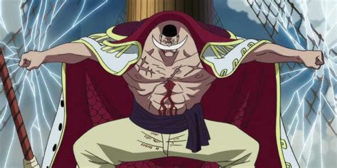 The 9 Best One Piece Captains Ranked And Why Theyre Great Whatnerd