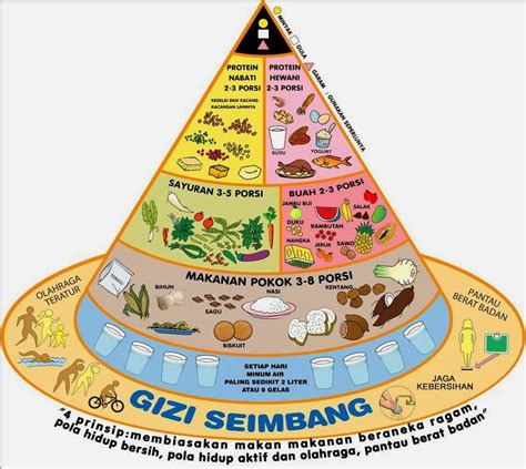 Gambar Piramida Makanan Dan 4 Sehat 5 Sempurna Freewaremini