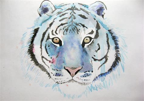 Maltese Tiger Painting Tiger Painting Maltese Tiger Big Cats